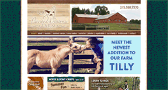 Desktop Screenshot of painteddreamshorsefarm.com