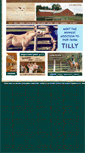 Mobile Screenshot of painteddreamshorsefarm.com