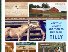 Tablet Screenshot of painteddreamshorsefarm.com